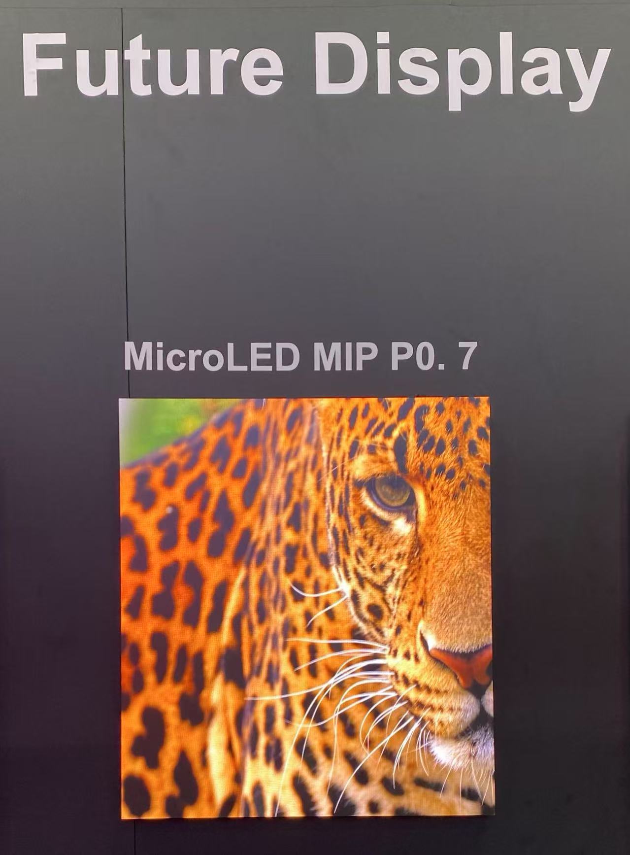 684f731c4a12d.jpg 684f731c4a12d.jpg